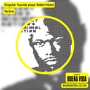 Singular Sounds plays Robert Hood