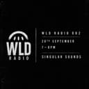 WLD Radio 002  Mix - Singular Sounds - Vinyl